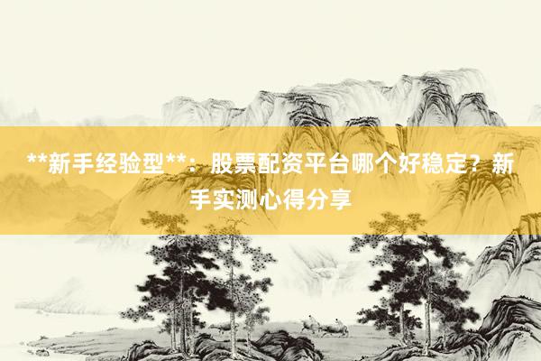 **新手经验型**：股票配资平台哪个好稳定？新手实测心得分享