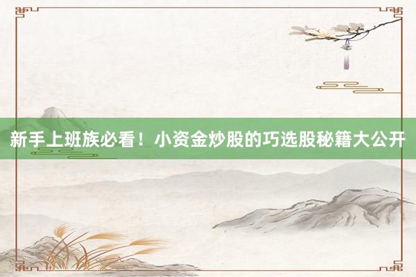 新手上班族必看！小资金炒股的巧选股秘籍大公开