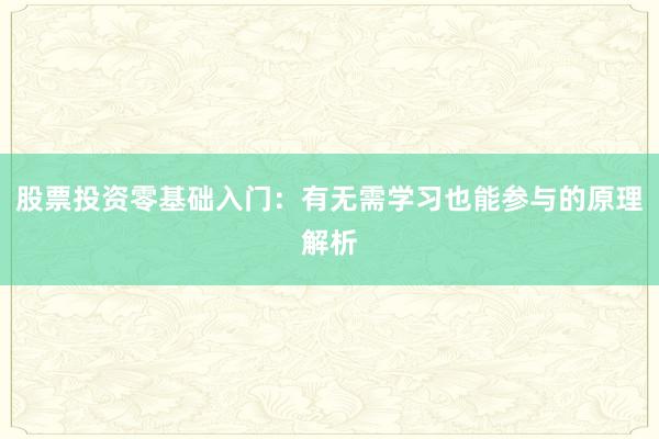 股票投资零基础入门：有无需学习也能参与的原理解析